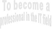 To become a  professional in the IT field
